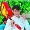 hamidgulli36