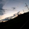 adams_437