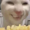 chung_pika05