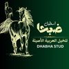 dhabha.stud