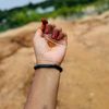 sifat.ahmed6108