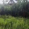 userqoo093