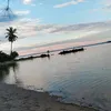 sedanam_