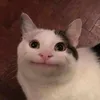 diditjisjos
