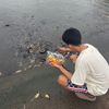 bangkorn_bang