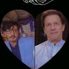 pakistantahreekinsafe804