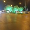 hm__d464