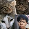 7_chills_