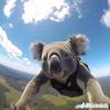 uchillitdude569