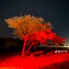 amhmad_76700