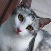 _lucythewhite_