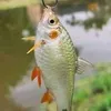 sonalisopnojuboun0