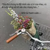 dim_hng521993