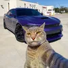 cleitinho2625
