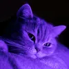 kossdf