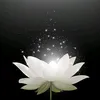 truongka007