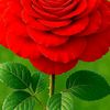 taniya.aktar.tanni6