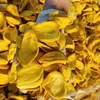 nhuan493