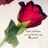 noura4478