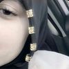 hager_amer76