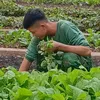 tuongduynguyen2