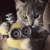sashqaa_222