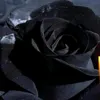 aniradita18281828