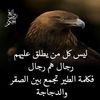 user2381353200486