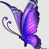 andreaherrera6460