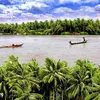 haihuoc711