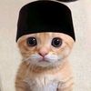 gilbert_792