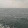 bayiuh495