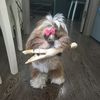 sattarov_azat