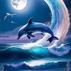 orca7778