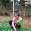 linhin347