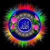 muhammad.zakir330