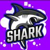 .shark029