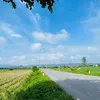 Minh Thu