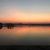 nvtungg08