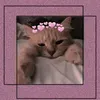 cats.are.v.cool.smilte