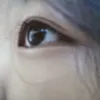 nc.dpi_11