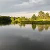 celinadahls5