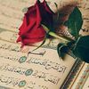 mahmoudmohamedfawzy0
