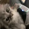 maggieeieiee