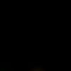 pengguna tiktok