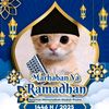 danda018
