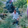 thanh0080401968