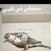 ayan_mirany