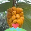 maytrang080