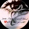 zxl.o24